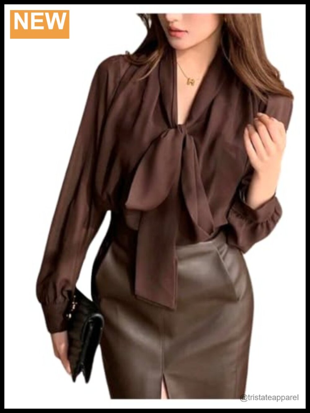 Chiffon Long Sleeve Tie Neck Blouse Sheer Dressy Work Top